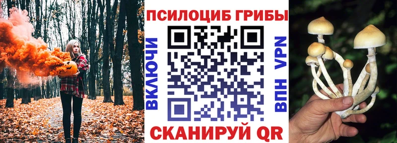 купить  цена  Разумное  Галлюциногенные грибы Magic Shrooms 